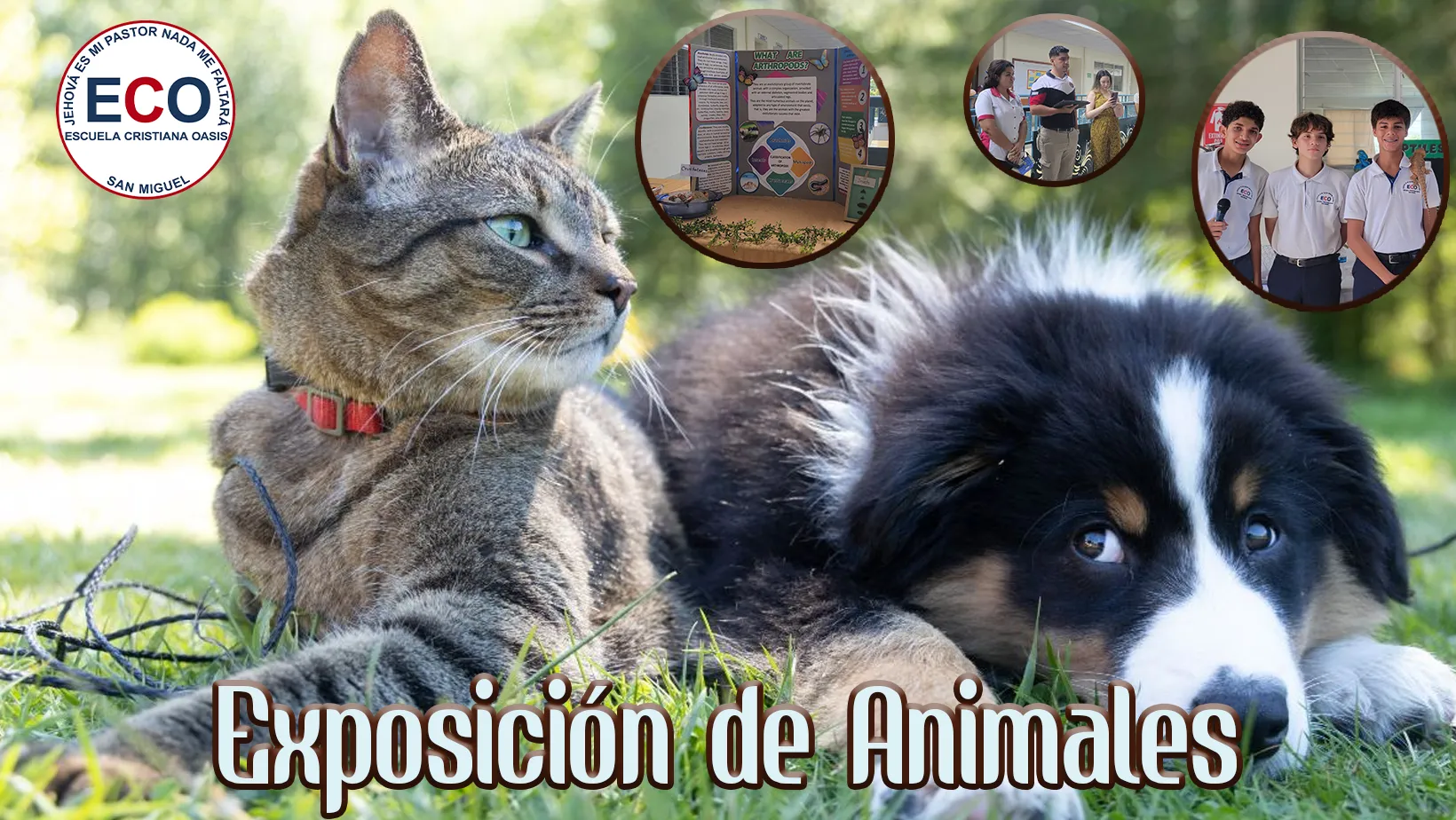 Expo Animales